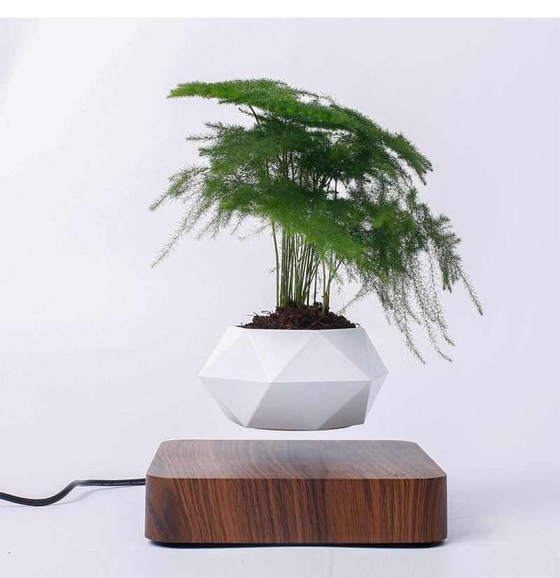 HCNT Magnetic Levitating Plant Pot Floating Flower Planter