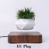 Levitating Flower/Plant Pot - The Modern Lich